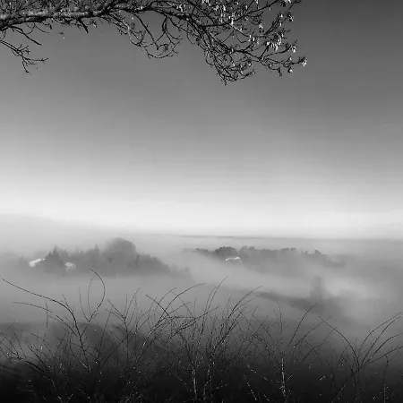 La Cassignolette * カステルノーダリ